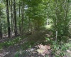 Lot 11 Kumbrabow Road, Huttonsville, West Virginia 26273, ,Lots/land,For Sale,Kumbrabow,10161234