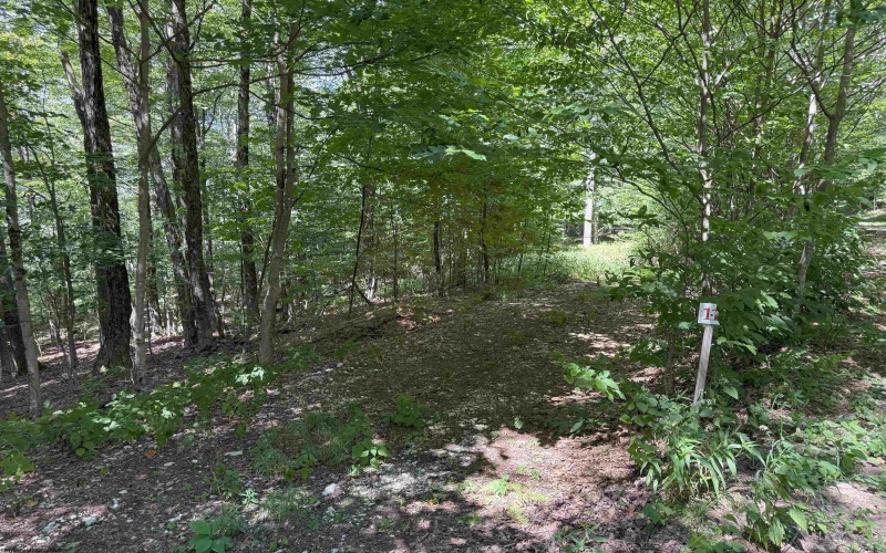 Lot 11 Kumbrabow Road, Huttonsville, West Virginia 26273, ,Lots/land,For Sale,Kumbrabow,10161234