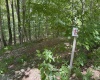 Lot 11 Kumbrabow Road, Huttonsville, West Virginia 26273, ,Lots/land,For Sale,Kumbrabow,10161234