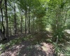 Lot 11 Kumbrabow Road, Huttonsville, West Virginia 26273, ,Lots/land,For Sale,Kumbrabow,10161234