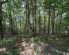 Lot 11 Kumbrabow Road, Huttonsville, West Virginia 26273, ,Lots/land,For Sale,Kumbrabow,10161234