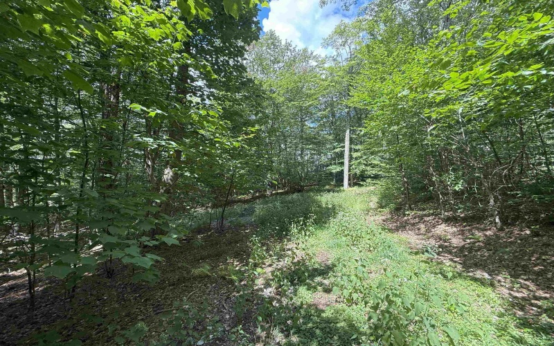 Lot 11 Kumbrabow Road, Huttonsville, West Virginia 26273, ,Lots/land,For Sale,Kumbrabow,10161234