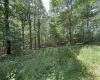 Lot 11 Kumbrabow Road, Huttonsville, West Virginia 26273, ,Lots/land,For Sale,Kumbrabow,10161234