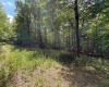 Lot 11 Kumbrabow Road, Huttonsville, West Virginia 26273, ,Lots/land,For Sale,Kumbrabow,10161234