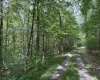 Lot 11 Kumbrabow Road, Huttonsville, West Virginia 26273, ,Lots/land,For Sale,Kumbrabow,10161234