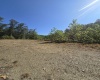Lot 28 Woodland Drive, Beverly, West Virginia 26253, ,Lots/land,For Sale,Woodland,10161240