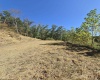 Lot 28 Woodland Drive, Beverly, West Virginia 26253, ,Lots/land,For Sale,Woodland,10161240