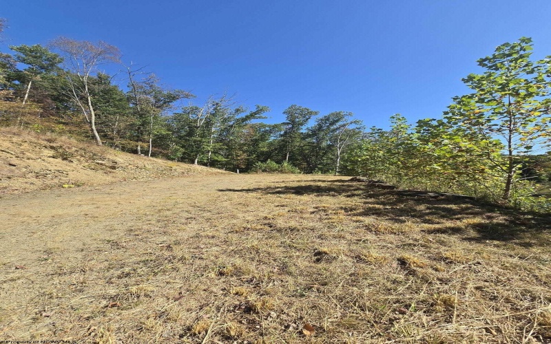 Lot 28 Woodland Drive, Beverly, West Virginia 26253, ,Lots/land,For Sale,Woodland,10161240