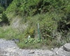 Lot 28 Woodland Drive, Beverly, West Virginia 26253, ,Lots/land,For Sale,Woodland,10161240