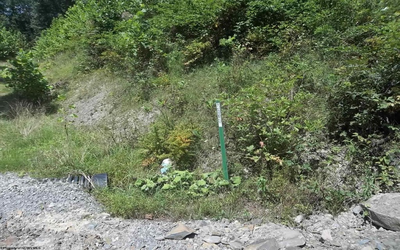 Lot 28 Woodland Drive, Beverly, West Virginia 26253, ,Lots/land,For Sale,Woodland,10161240