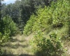 Lot 28 Woodland Drive, Beverly, West Virginia 26253, ,Lots/land,For Sale,Woodland,10161240