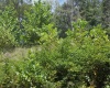 Lot 28 Woodland Drive, Beverly, West Virginia 26253, ,Lots/land,For Sale,Woodland,10161240