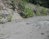 Lot 28 Woodland Drive, Beverly, West Virginia 26253, ,Lots/land,For Sale,Woodland,10161240