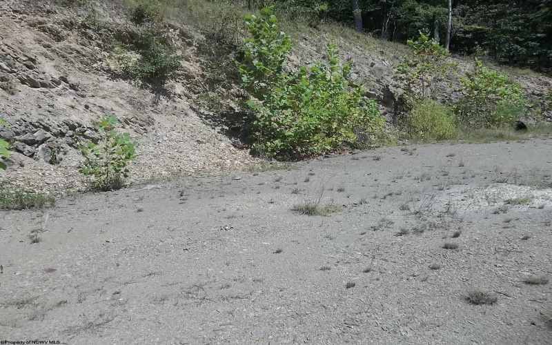 Lot 28 Woodland Drive, Beverly, West Virginia 26253, ,Lots/land,For Sale,Woodland,10161240
