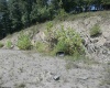 Lot 28 Woodland Drive, Beverly, West Virginia 26253, ,Lots/land,For Sale,Woodland,10161240