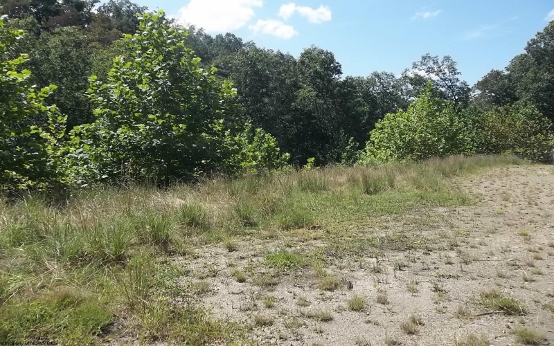 Lot 28 Woodland Drive, Beverly, West Virginia 26253, ,Lots/land,For Sale,Woodland,10161240