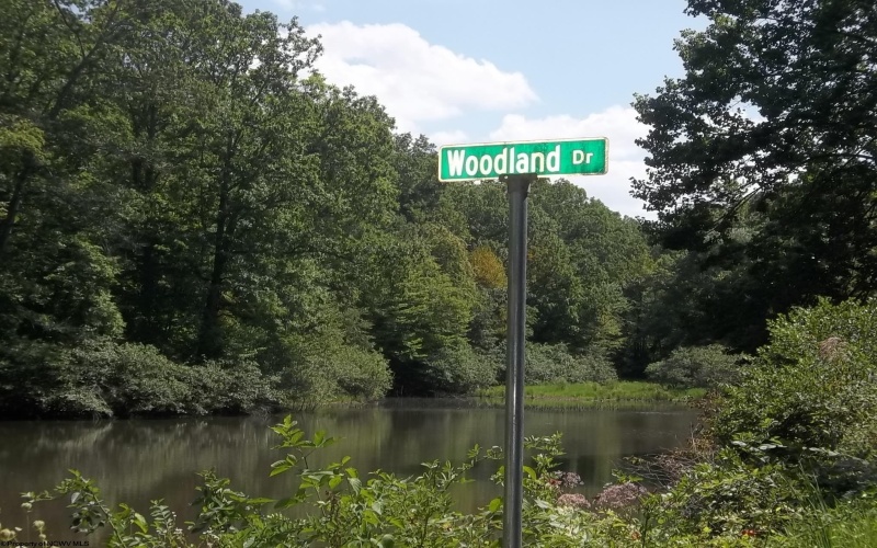 Lot 28 Woodland Drive, Beverly, West Virginia 26253, ,Lots/land,For Sale,Woodland,10161240