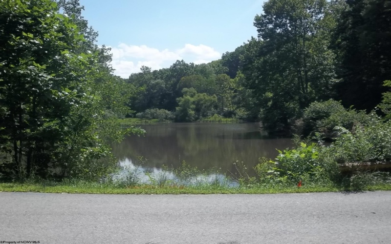 Lot 28 Woodland Drive, Beverly, West Virginia 26253, ,Lots/land,For Sale,Woodland,10161240