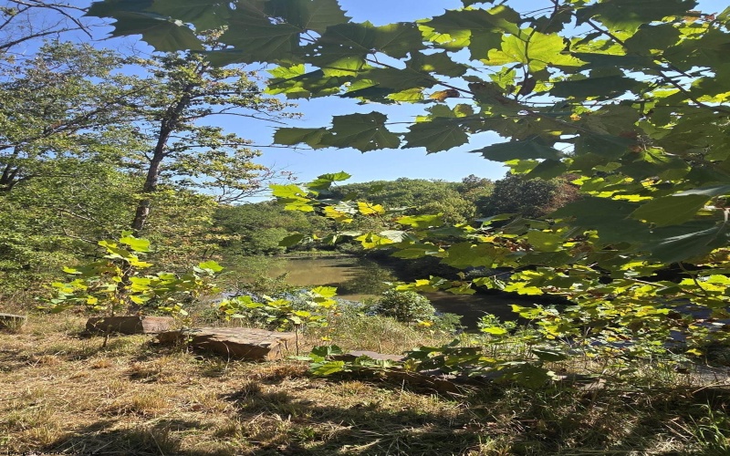 Lot 28 Woodland Drive, Beverly, West Virginia 26253, ,Lots/land,For Sale,Woodland,10161240