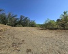 Lot 28 Woodland Drive, Beverly, West Virginia 26253, ,Lots/land,For Sale,Woodland,10161240