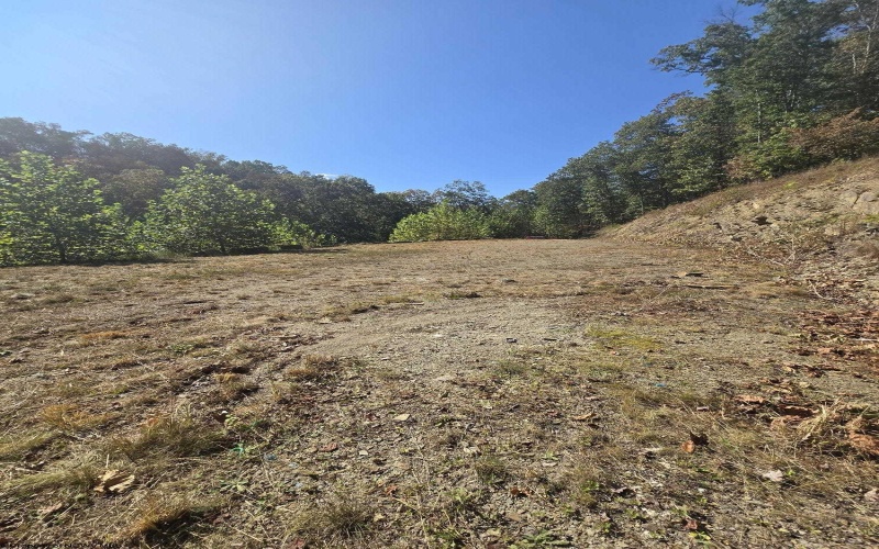 Lot 28 Woodland Drive, Beverly, West Virginia 26253, ,Lots/land,For Sale,Woodland,10161240