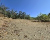 Lot 28 Woodland Drive, Beverly, West Virginia 26253, ,Lots/land,For Sale,Woodland,10161240