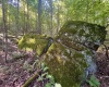 Tract 2 Teter Creek Road, Montrose, West Virginia 26283, ,Lots/land,For Sale,Teter Creek,10161253