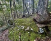 Tract 2 Teter Creek Road, Montrose, West Virginia 26283, ,Lots/land,For Sale,Teter Creek,10161253