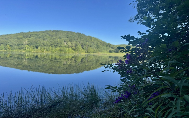 Tract 2 Teter Creek Road, Montrose, West Virginia 26283, ,Lots/land,For Sale,Teter Creek,10161253