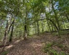 Tract 2 Teter Creek Road, Montrose, West Virginia 26283, ,Lots/land,For Sale,Teter Creek,10161253
