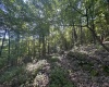 Tract 2 Teter Creek Road, Montrose, West Virginia 26283, ,Lots/land,For Sale,Teter Creek,10161253