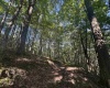 Tract 2 Teter Creek Road, Montrose, West Virginia 26283, ,Lots/land,For Sale,Teter Creek,10161253