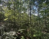 Tract 2 Teter Creek Road, Montrose, West Virginia 26283, ,Lots/land,For Sale,Teter Creek,10161253