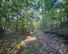 Tract 2 Teter Creek Road, Montrose, West Virginia 26283, ,Lots/land,For Sale,Teter Creek,10161253