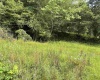 TBD Marquess Road, Tunnelton, West Virginia 26444, ,Lots/land,For Sale,Marquess,10161270