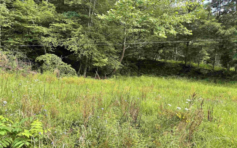 TBD Marquess Road, Tunnelton, West Virginia 26444, ,Lots/land,For Sale,Marquess,10161270