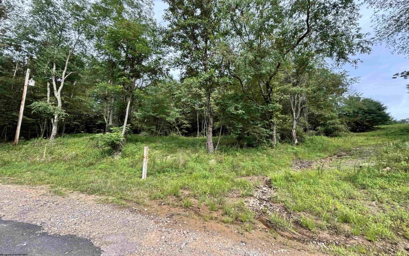 TBD Marquess Road, Tunnelton, West Virginia 26444, ,Lots/land,For Sale,Marquess,10161270
