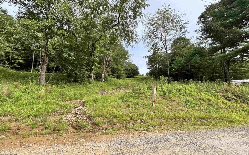 TBD Marquess Road, Tunnelton, West Virginia 26444, ,Lots/land,For Sale,Marquess,10161270