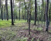 0 Sago Road, French Creek, West Virginia 26218, ,Lots/land,For Sale,Sago,10161294