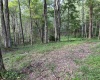 0 Sago Road, French Creek, West Virginia 26218, ,Lots/land,For Sale,Sago,10161294