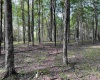 0 Sago Road, French Creek, West Virginia 26218, ,Lots/land,For Sale,Sago,10161294