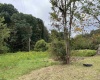 9738 Buckhannon Pike, Lost Creek, West Virginia 26385, ,Lots/land,For Sale,Buckhannon,10161293