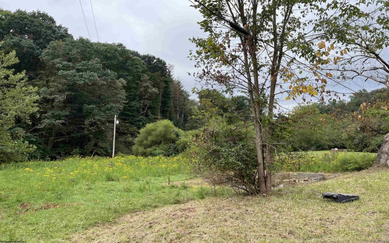 9738 Buckhannon Pike, Lost Creek, West Virginia 26385, ,Lots/land,For Sale,Buckhannon,10161293