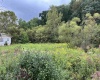 9738 Buckhannon Pike, Lost Creek, West Virginia 26385, ,Lots/land,For Sale,Buckhannon,10161293