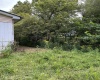 9738 Buckhannon Pike, Lost Creek, West Virginia 26385, ,Lots/land,For Sale,Buckhannon,10161293