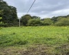 9738 Buckhannon Pike, Lost Creek, West Virginia 26385, ,Lots/land,For Sale,Buckhannon,10161293