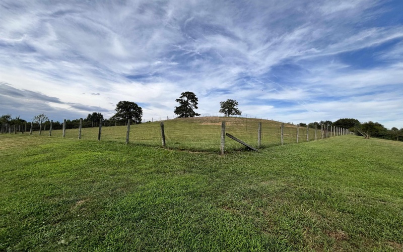 TBD Trinity Road, Belington, West Virginia 26250, ,Lots/land,For Sale,Trinity,10161283