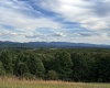 TBD Trinity Road, Belington, West Virginia 26250, ,Lots/land,For Sale,Trinity,10161283