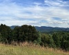 TBD Trinity Road, Belington, West Virginia 26250, ,Lots/land,For Sale,Trinity,10161283