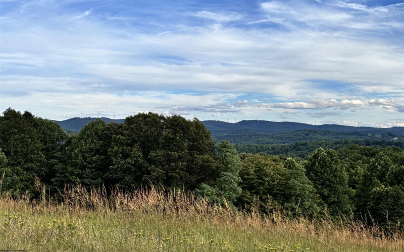 TBD Trinity Road, Belington, West Virginia 26250, ,Lots/land,For Sale,Trinity,10161283